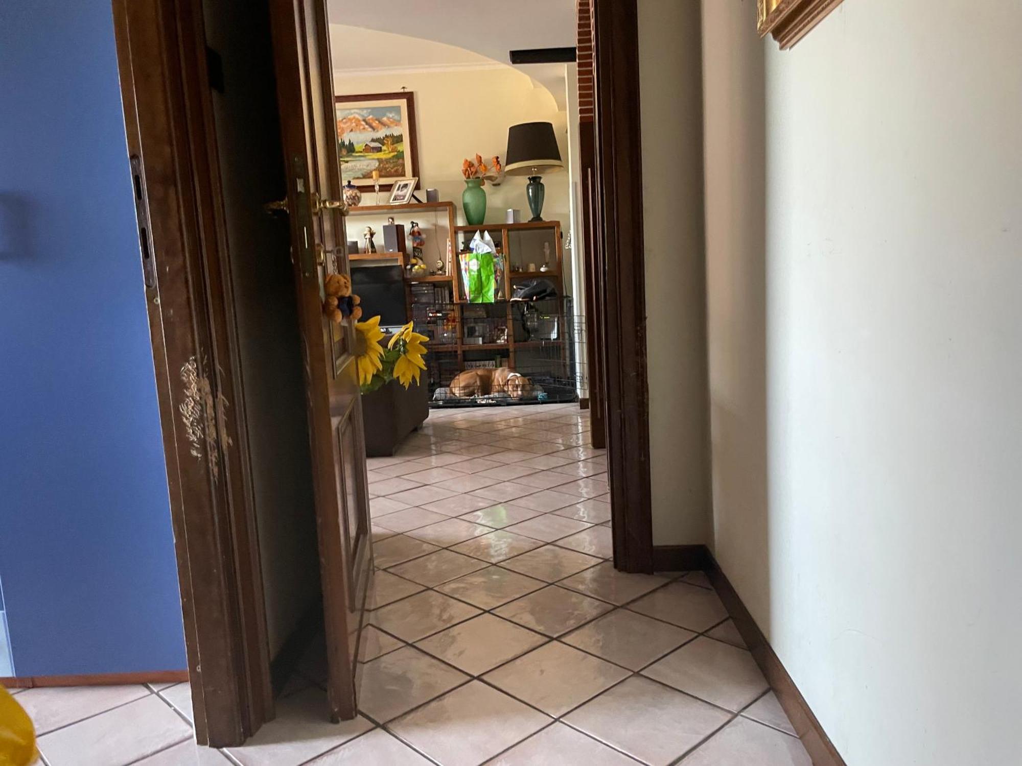 Meucci House Appartamento